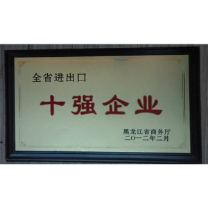 PG电子游戏集团荣获“黑龙江省进出口十强企业”称号