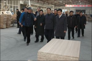吉林省委调查团参观华海木业