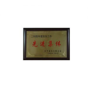2004年度妇女工作先进集体