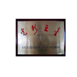 2002年荣获牡丹江视装荣耀之星”荣誉称号
