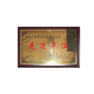 2004年省劳动就业服务企业先进单元