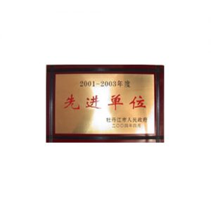 2001-2003年度牡丹江市先进文化单元
